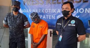 Bawa Paket Berisi 3 Kg Ganja, Pria Asal Surabaya Ditangkap BNNK Gresik