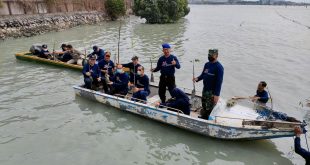 Hari Perhubungan Nasional, Polairud Polres Gresik Tanam Mangrove