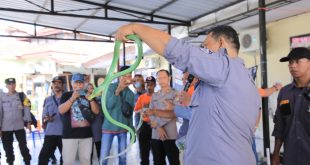 Polres Madiun Gandeng Komunitas Penyelamat Ular Adakan Pelatihan Snake Rescue