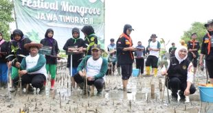 Gubernur Khofifah dan Bupati Sampang Turun Langsung Tanam 5.750 Bibit Mangrove di Pantai