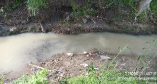 Sejumlah Petani Lembeyan Keluhkan Limbah Pencucian Pasir di Wilayahnya