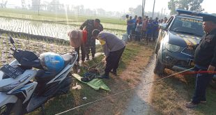 Gagal Nikah, Pria di Ponorogo Nekat Tenggak Pestisida