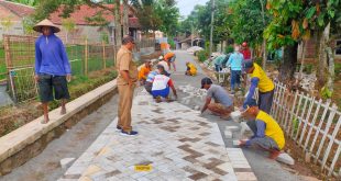 Pemdes Sidomulyo Wujudkan Impian Warga, Pavingisasi Dusun Widu