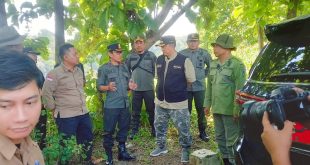 Pemkab dan Perhutani Perkuat Ketahanan Pangan dan Kembalikan Fungsi Hutan di Jombang