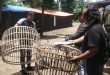 Polres Nganjuk Bongkar Arena Sabung Ayam di Ngronggot