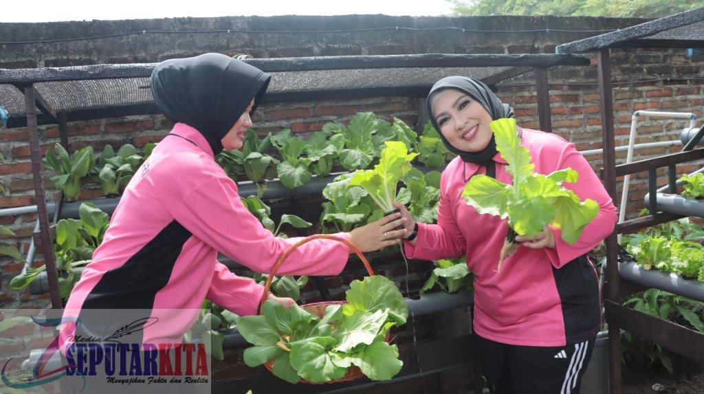 Dukung Program Ketahanan Pangan, Polres Nganjuk Bersama Bhayangkari Tanam Pohon Alpukat, Panen Sayur dan Ikan