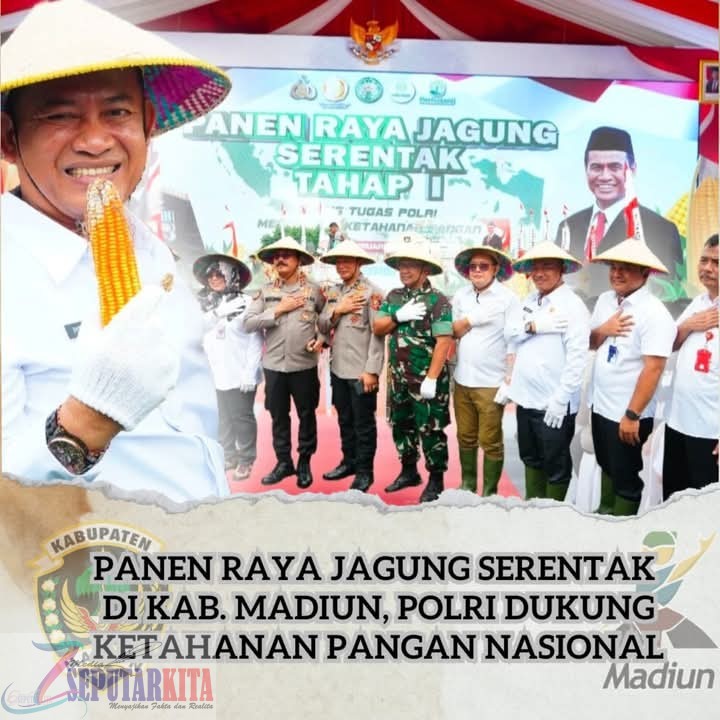 Dukung Program Ketahanan Pangan, Wabub Madiun Dr. Purnomo Hadi, Hadiri Panen Raya Jagung Serentak