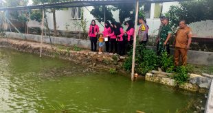 Dukung Ketahanan Pangan, Kapolsek Ngluyu Nganjuk Pantau Budidaya Lele