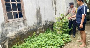 Pantau Tanaman Cabai, Polsek Loceret Dukung Ketahanan Pangan Warga