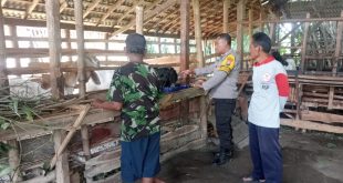 Dukung Ketahanan Pangan, Bhabinkamtibmas Sawahan Tinjau Peternakan Warga di Dusun Jati
