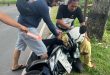 UANG SELAMATAN RAIB, KARAOKE JADI BIANG KEROK, PRIA INI NEKAD BOHONGI POLISI!