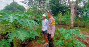 Bhabinkamtibmas Polsek Ngetos Dukung Ketahanan Pangan Lewat Pemanfaatan Lahan Pekarangan