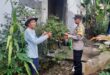 Pekarangan Produktif, Polsek Sawahan Kawal Ketahanan Pangan di Desa Duren