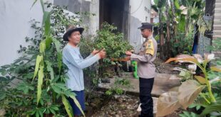 Pekarangan Produktif, Polsek Sawahan Kawal Ketahanan Pangan di Desa Duren