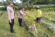 Polsek Rejoso Dorong Ketahanan Pangan di Desa Talang
