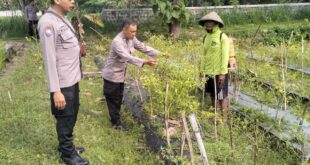 Polsek Rejoso Dorong Ketahanan Pangan di Desa Talang