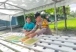 Gelorakan Swasembada Pangan, Polisi di Sidoarjo Ajak Warga Kembangkan Tanaman Hidroponik*