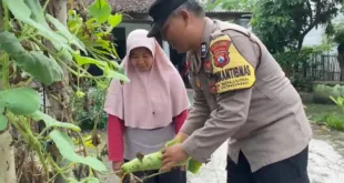 Dukung Ketahanan Pangan, Bhabinkamtibmas Desa Senjayan Pantau Pekarangan Bergizi Warga