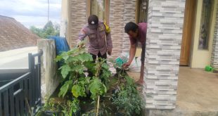 Bhabinkamtibmas Sawahan Dukung Ketahanan Pangan Lewat Pemantauan Tanaman Cabai