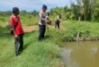 Dukung Ketahanan Pangan, Kapolsek Bagor Tinjau Budidaya Lele Pekarangan Warga Petak