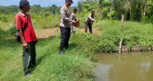 Dukung Ketahanan Pangan, Kapolsek Bagor Tinjau Budidaya Lele Pekarangan Warga Petak