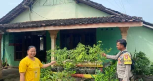 Dukung Ketahanan Pangan, Bhabinkamtibmas Ngepeh Pantau Pekarangan Bergizi Warga