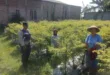 Pemanfaatan Pekarangan, Polsek Nganjuk Kota Dorong Kemandirian Pangan Warga