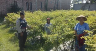 Pemanfaatan Pekarangan, Polsek Nganjuk Kota Dorong Kemandirian Pangan Warga