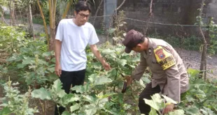 Polsek Pace Dukung Ketahanan Pangan Lewat Pemanfaatan Lahan Pekarangan