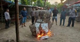 Polres Nganjuk Klarifikasi Dugaan Sabung Ayam di Desa Klurahan, Kecamatan Ngronggot