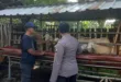 Polsek Ngluyu Dukung Peternakan Kambing Warga sebagai Sumber Pangan dan Nilai Tambah Ekonomi