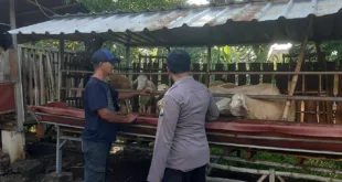 Polsek Ngluyu Dukung Peternakan Kambing Warga sebagai Sumber Pangan dan Nilai Tambah Ekonomi