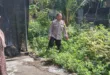 Warga Gondang Manfaatkan Pekarangan Jadi Sumber Pangan dan Ekonomi