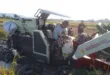 Musim Panen Tiba, Petani Driyorejo Magetan Sambut Gembira Harga Padi Tembus Rp 700 per Kilogram