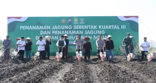 Kapolda Jatim Irjen Nanang Avianto Tanam Jagung di Nganjuk, Dorong Kemandirian Pangan dari Akar Rumput