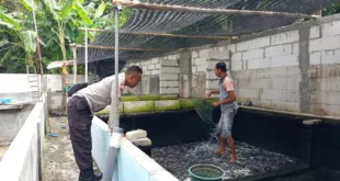 Polres Nganjuk Dorong Ketahanan Pangan Lewat Budidaya Lele dan Nila di Pekarangan