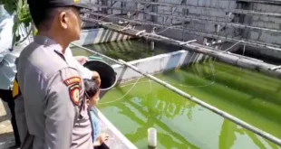 Kapolsek Kalitengah Bersama Anggota Dukung Ketahanan Pangan Melalui Monitoring Sambang Ke Petani Tambak