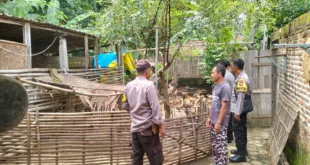 Lewat Ternak Bebek, Bhabinkamtibmas Sonopatik Wujudkan Ketahanan Pangan