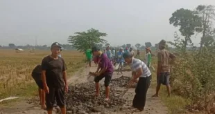 Pemdes dan Pemkab Pemalang Dinilai Abai: Warga Kendalsari Terpaksa Perbaiki Jalan Utama Secara Swadaya