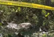 Mayat Perempuan Muda Ditemukan di Hutan Goa Lowo, Warga Sampung Ponorogo Geger