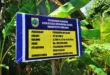 Desa Klegen Tegaskan Transparansi, Papan Proyek Pengaspalan Sudah Terpasang.