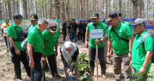 Sinergi Perhutani Jombang Dan BPBD Mojokerto, Tanam Pohon Peringati Bulan Pengurangan Resiko Bencana