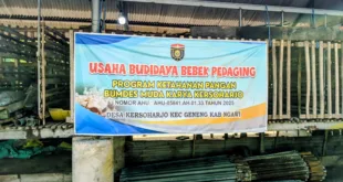 Gagalnya Usaha Bebek Desa Kersoharjo: Cermin Kelemahan Analisis dan Kesiapan SDM Desa