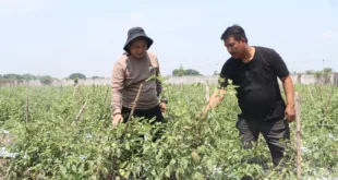 Polres Nganjuk Dorong Ketahanan Pangan Lewat Program “Desa Tangguh Pangan”