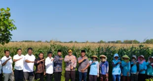 Kapolres Nganjuk Jaring Aspirasi untuk Penguatan Harkamtibmas dan Program “Desa Tangguh Pangan” di Banjaranyar
