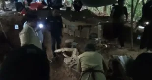 Fosil Gajah Purba Stegodon Ditemukan di Hutan Tritik Nganjuk