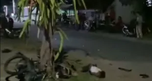 Dua Pelajar Tewas dalam Kecelakaan di Jalur Kawedanan–Lembeyan, Mobil Penyanyi Cantika Davinca Terlibat