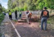 Pohon Tumbang Tutup Jalur Sarangan–Cemorosewu, Polisi Bersama BPBD dan Warga Gerak Cepat Lakukan Evakuasi