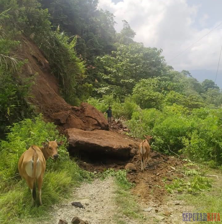 IMG-20260425-WA0045 (1)