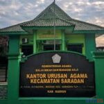 WhatsApp Image 2026-04-03 at 15.30.52